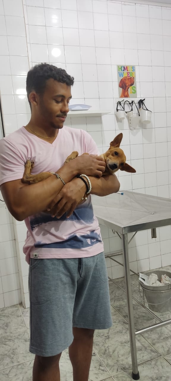 Marlysson Silva Dantas - Arrecadação para Tratamento de Leishmaniose Canina  (Calazar) - Tony