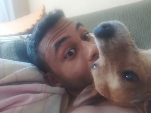 Aracaju/SE - Arrecadação para Tratamento de Leishmaniose Canina  (Calazar) - Tony