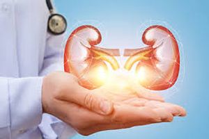 Saúde e Emergências - AJUDA PARA REALIZAÇÃO DO TRANSPLANTE RENAL EM OUTRO ESTADO