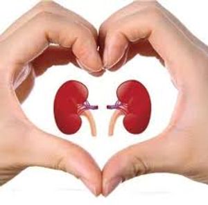 TRANSPLANTE RENAL (SAIR DA MAQUINA DE HEMODIALISE) EM OUTRO ESTADO - AJUDA PARA REALIZAÇÃO DO TRANSPLANTE RENAL EM OUTRO ESTADO