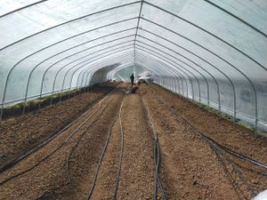 Vaquinha Online - Tratorito para produzir comida