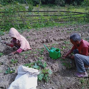 Tratorito para produzir comida imagem 6