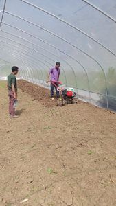 Tratorito para produzir comida imagem 7