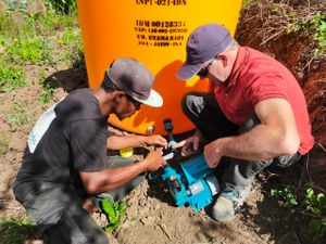 José Guerreiro - Tratorito para produzir comida