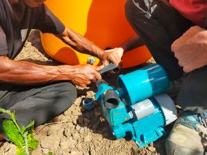 Causas e Comunidade - Tratorito para produzir comida