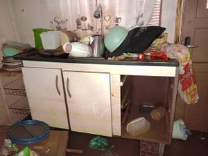 Me Ajude A recomeçar (perdi Tudo) imagem 6