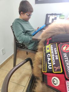 Projeto de cães para pessoas com deficiência e autismo (TEA) imagem 8