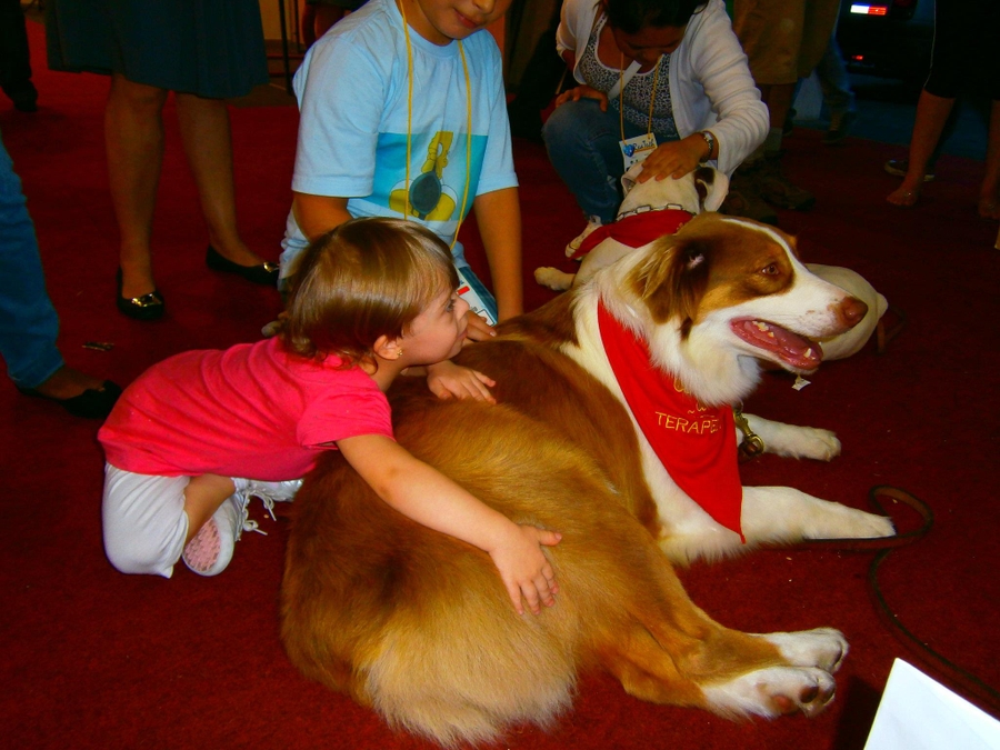 Causas e Comunidade - Projeto de cães para pessoas com deficiência e autismo (TEA)