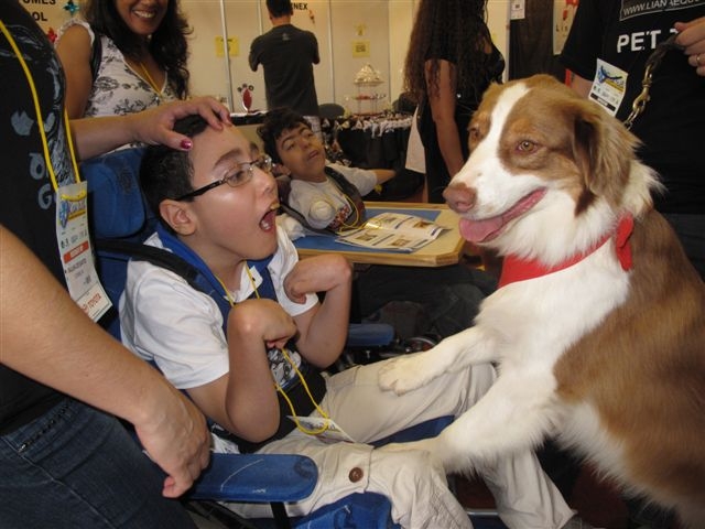 Assoc. Benef. Reddogs Terapia com Animais - Projeto de cães para pessoas com deficiência e autismo (TEA)