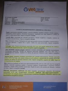 Maracanaú/CE - Ajude na internação do Nino