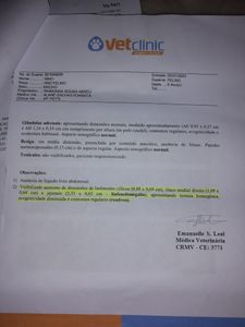 Ajude na internação do Nino imagem 6