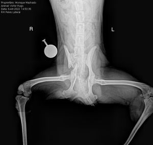 AJUDE VICTORUGO  imagem 7