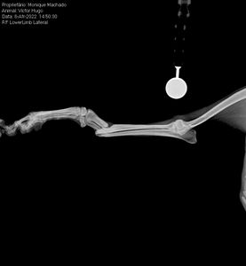 AJUDE VICTORUGO  imagem 6