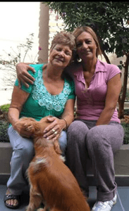 Vaquinha Online - Recomeçar 