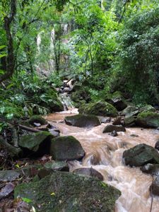 Assinatura e Recorrência - Seja um Sócio Torcedor da Natureza