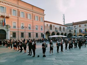 Crowdfunding - Ativismo para os animais em Salvador BA