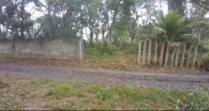 Vaquinha Online - Tratamento da Fifi e morar na roça para minha saúde 