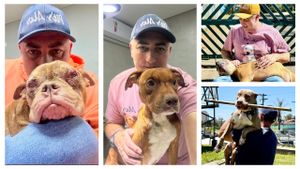 Vamos juntos pagar a clínica de dezembro? 