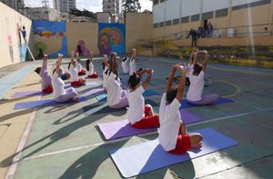 Crowdfunding - Aflorando Vidas