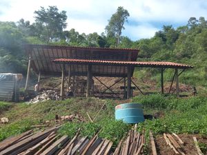 Nova Friburgo/RJ - Campanha "NOSSA CASA, minha vida"!