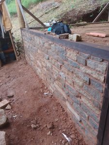 Campanha "NOSSA CASA, minha vida"! imagem 6