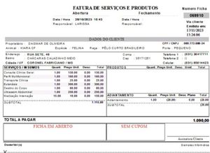 Animais - Tratamento de câncer da minha gatinha 