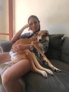 Ajude a Amora Caramelo a ter um vida saudável imagem 7