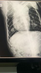 Ajude a Amora Caramelo a ter um vida saudável imagem 9