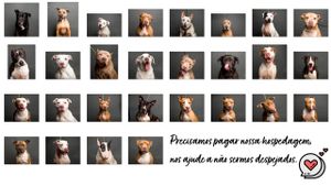 Urgente. Hora de pagar a clínica. Nos ajudem.