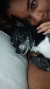 Vaquinha Online - Juntos por Kiara