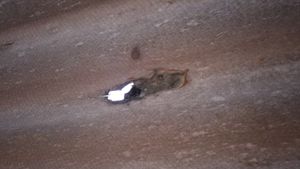 Telhadão do Posto imagem 7