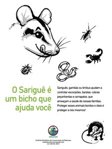 #SALVEOSARIGUÊ - Vitaminando Nossa Campanha Educativa!  imagem 6