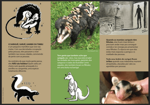 IBRACON - #SALVEOSARIGUÊ - Vitaminando Nossa Campanha Educativa! 