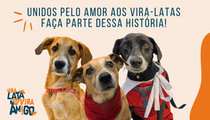 Vira Lata Vira Amigo: seu apoio SALVA VIDAS