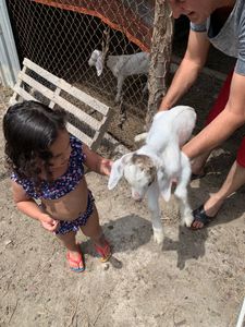 Labzin da Lab - APOIE O ACAMPAMENTO BEM VIVER!