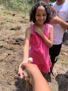 APOIE O ACAMPAMENTO BEM VIVER! imagem 8