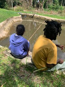 Financiamento Coletivo - APOIE O ACAMPAMENTO BEM VIVER!