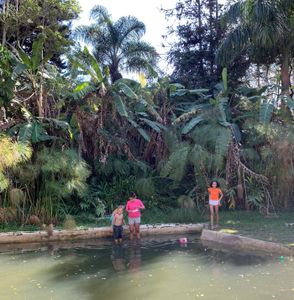 Causas e Comunidade - APOIE O ACAMPAMENTO BEM VIVER!