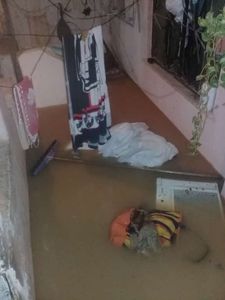 Ajuda para comprar coisas para minha vó❤️‍🩹 - Tentando arrecadar fundos para ajudar minha vó❤️‍🩹