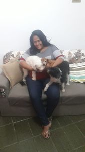 Doação pra alimentação dos meus dogs imagem 6