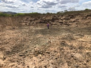 Cooperativa agrícola  no sertão Alagoano/ Brasil imagem 7
