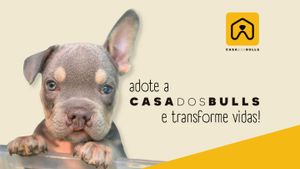 Apadrinhe a Casa dos Bulls e transforme vidas!