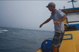 S.O.S Robertinho imagem 9