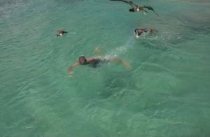 Vaquinha - S.O.S Robertinho