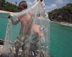 Vaquinha Online - S.O.S Robertinho