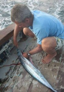 S.O.S Robertinho imagem 6