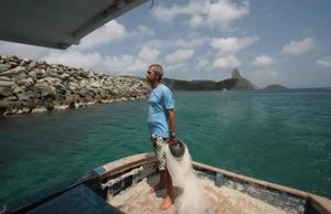 null - S.O.S Robertinho