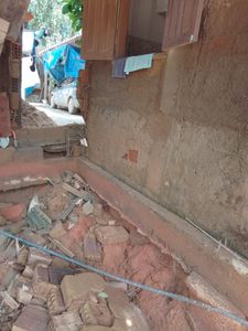 Vamos ajudar o Gilbertinho? imagem 7