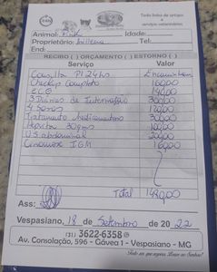 Oii pexuaal, eu sou o Pink! - Ajude o Pink a realizar seu tratamento!