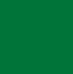 UM VOTO NA COR VERDE